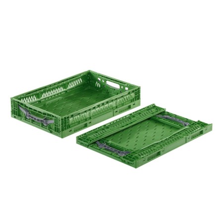 Skrzynka Clever Fresh Box advance na owoce i warzywa 40x30x16 cm, atest do kontaktu z żywnością, zielona, ażurowa, składana Kraj
