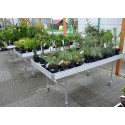 Stół zalewowy Floks 1,22 x 2,52 m - stoły na kółkach z sadzonkami iglaków w doniczkach