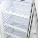 Witryna chłodnicza Mega-M DIEGO i54 White - wnętrze z drucianymi półkami