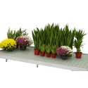 Stół zalewowy Floks 1,5x3 m - blat z roślinami w doniczkach