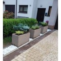 Donica betonowa prostokątna 90x40x50 - trzy donice z roślinami przed domem