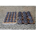 Taca cukiernicza 40x30 cm czarna - dwie tace z tartaletkami z jagodami