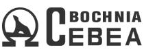 Cebea Bochnia