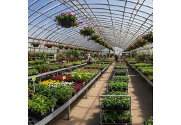 Zmienna ekspozycja, stałe wrażenie: kompleksowy poradnik dla centrów ogrodniczych